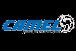 camel