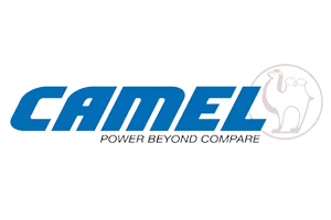 camel